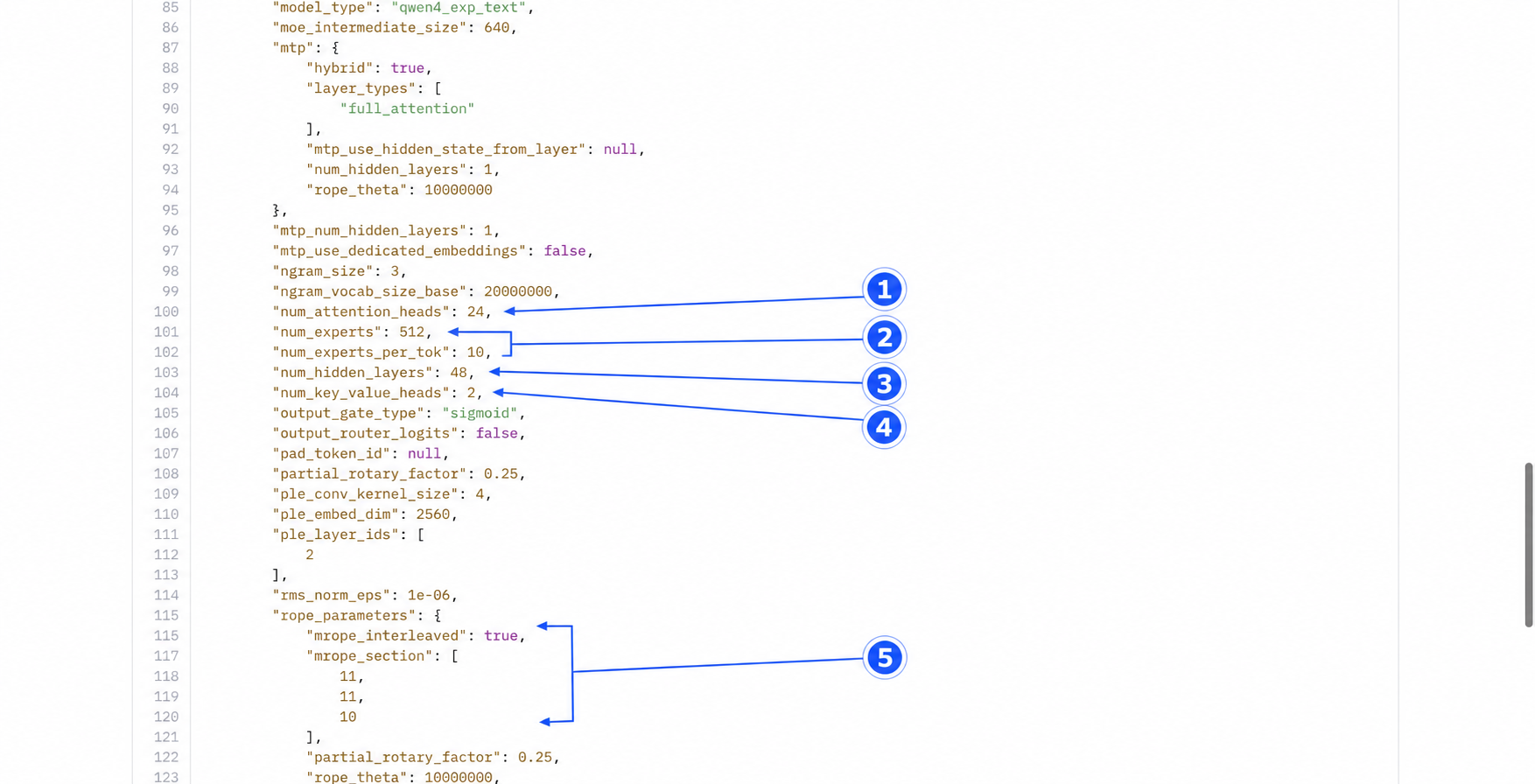 config.json에서 KV head와 RoPE 설정을 확인하는 위치